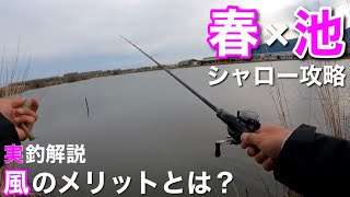 【春のため池】BIG登場!! 風が当たる面？当たらない面？ どっちを攻める！？ 【水の旅＃ １３５】