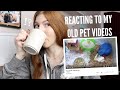 Reacting to my OLD pet videos!