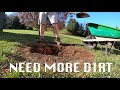 planting a tulip poplar in 65 seconds liriodendron tulipifera