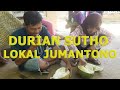 DURIAN LOKAL SUTHO DI JUMANTONO