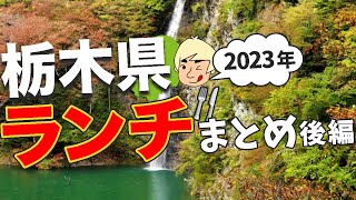 【おいしいランチ🍴】栃木県ランチまとめ後編(2023年)【栃木グルメ】