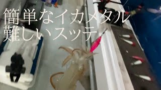 イカメタルだと簡単に釣れるのにスッテだと釣れないイカ釣りの難しさ