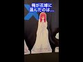 【工藤新一】厄介な花嫁なんだよ👰‍♀️