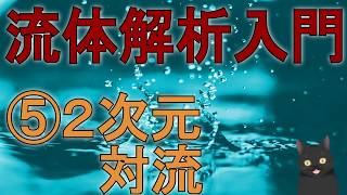 【5分で解説】流体解析入門⑤ニ次元対流