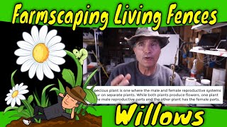 Farmscaping Living Fences with willow trees and bushes