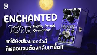 Caline - CP511 Enchanted Tone | Low Gain Overdrive ที่ใช้ Boost ก็ได้ ราคา 960 บาท