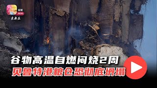 谷物高温自燃闷烧2周  贝鲁特港粮仓恐彻底坍塌