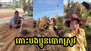 តោះបងប្អូនបោកស្រូវ