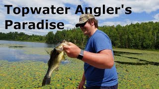 Non-stop Top Water Largies!