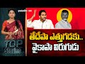 తేదేపా ఎత్తుగడకు..వైకాపా విరుగుడు | TDP's Strategy Countered by YSRCP | greatandhra.com