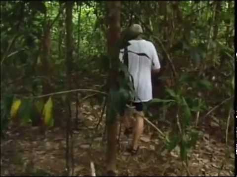 Survivor Borneo - B.B. - YouTube