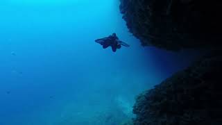 Rhodes Cavern Dive 2020