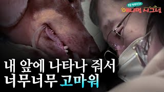 생명을 지키는 최전선, 동물병원 응급센터의 실제상황! [펫닥터] / YTN 사이언스