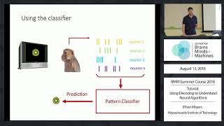 Tutorial: Using Decoding to Understand Neural Algorithms
