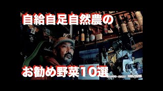 #463｜自給自足自然農お勧め野菜10選とその理由｜関連動画フルリンク｜自然農｜自給自足｜無肥料｜無農薬#461