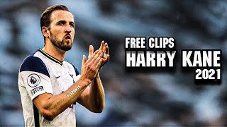 Harry Kane 2021 ● FREE CLIPS / NO WATERMARK ● FREE TO USE ● HD 1080p