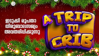 തിരുബാലസഖ്യം ഇടുക്കി രൂപത | A Trip To Crib | Christmas Days