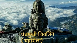 Chandrashila and Panchmukhi Shivling | चंद्रशिला पंचमुखी शिवलिंग | Tungnath Mahadev |