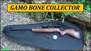 Gamo Swarm Gen2 Bone Collector, Fun Shooting Review, .22 Caliber Pellet Rifle