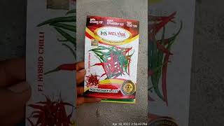 MELYNA seeds soundarya 117 #chilli Teja verity