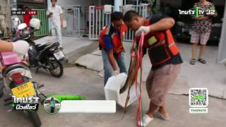 เปิดใจหนุ่มถูกงูฉกของลับ | 25-05-59 | ไทยรัฐนิวส์โชว์ | ThairathTV