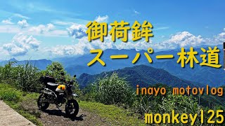 [monkey125] 上野村 御荷鉾スーパー林道 [motovlog]