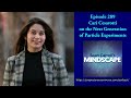 Mindscape 289 | Cari Cesarotti on the Next Generation of Particle Experiments