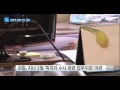 강압적 검찰 수사…극단적 선택 부르나 ytn 사이언스