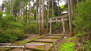 【鎌倉散歩】秘境『熊野神社』へ朝夷奈切通を横浜金沢側から