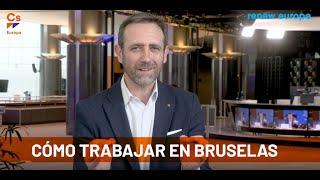 ¿QUIERES TRABAJAR EN BRUSELAS? ¡Explico el mejor camino para abrirte camino hacia las instituciones!