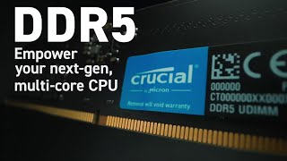 How cheap is this speedy next-gen Crucial 16GB DDR5 RAM? #DDR5 #crucial #nextgen #ram