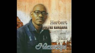 Herbert Majeke Kangara   Mushonga Imvura Ndezveziya Album  2016