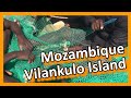 Mozambique - Vilankulo Island