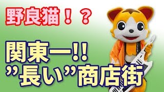 【ゆるキャラ】関東一長い商店街!? コロッケが旨い！ ゆっふぃーのキャラさんぽ(ﾟωﾟ)♪【ボンボンTV】