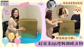 【珊B要考牌👶🏼#14】BB性別揭曉派對㊙️🎉 竟然驚變樹熊樣🐨！｜Gender Reveal Party｜第20周｜5個月｜For Pregnancy🤰🏻