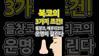 코에  3가지만 있다면  전생부터 타고 내려온 복(福)관상이다 (코 관상보는법)