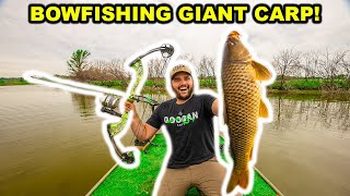 BOWFISHING My Farm for GIANT CARP for the FIRST TIME!!! (Catch Clean Cook)