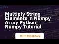 Multiply string elements in numpy array python numpy tutorial