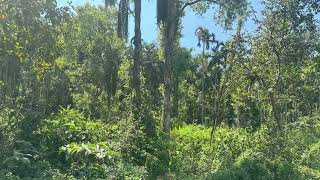 1.10 acre agri land for sale in Mudigere -9535431839