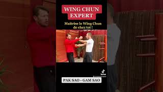 Wing Chun Training : kung fu fighting technique for beginners How to basic !