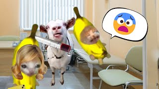 Banana Cat is Scared of Injections😹🍌[FULL EPISODE]