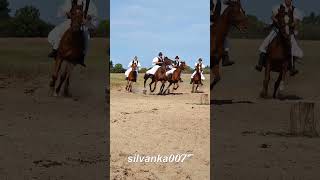 Bugac Puszta Horse Riding Presentation Horse Show Hungarian Traditions Betyar YouTube Viral Videos