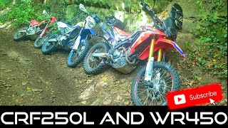 Yamaha WR450F and CRF250 Rally Off Road