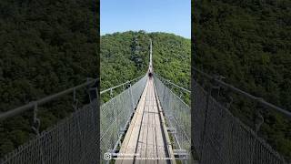 One of the longest hanging bridge in Germany 🇩🇪. #travel #germany #bucketlist #hangingbridge