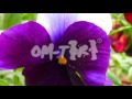 om tiri® colour code hd