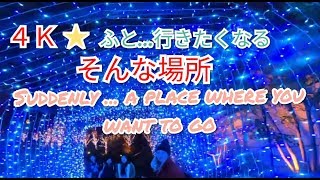 なんばパークス-イルミネーション・Namba Park Illumination