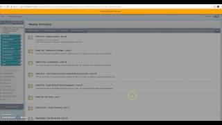 Student Preview Button in Blackboard