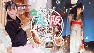 大阪七天遊記 7 Days In Osaka EP2 | 大板周遊卡免費景點, 今昔館, 貓頭鷹cafe, 大阪城, 天保山海遊館 (自由行) | siucircle