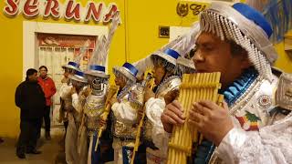 안데스 고원(푸노)의 축제 Altiplano Festival of Puno Peru