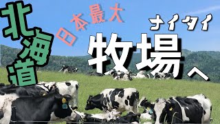 【日本一】北海道のでっかい牧場までドライブしてきた【ずんだもん】ナイタイ牧場